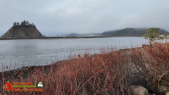 Pacific-Coast-James-Island-Quillayute-River-Forks-WA-Pocket3-01-23-2024_000222_07