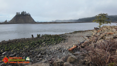 Pacific-Coast-James-Island-Quillayute-River-Forks-WA-Pocket3-01-23-2024_000238_08