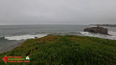 Santa-Cruz-Misty-Morning-Walk-Seagull-01-14-2024-Insta360-Ace-Pro
