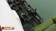 Santa-Cruz-Municipal-Wharf