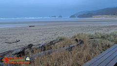 Schooner-Cove-Inn-Cannon-Beach-Oregon-Pocket3-01-21-2024_000202_08