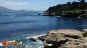 Pacific-Coast-Monterey-CA-02-05-2017-shot0003
