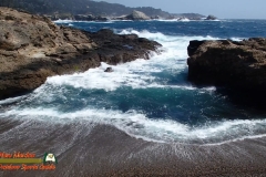 Pacific-Coast-Monterey-CA-02-05-2017-shot0005