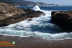 Pacific-Coast-Monterey-CA-02-05-2017-shot0006