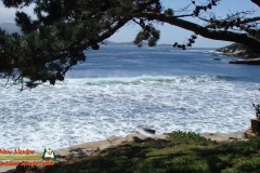 Pebble-Beach-Golf-Club-04-25-2016