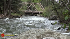 Rio-Pecos-Terro-Bridge-Trout-Fishing-Public-Access-05-23-2019