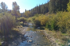 Red_River_Bluegrass_20181