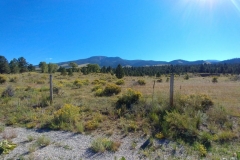 Red_River_Bluegrass_201812