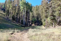 Red_River_Bluegrass_20182