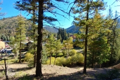 Red_River_Bluegrass_20185