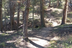 Red_River_Bluegrass_20186