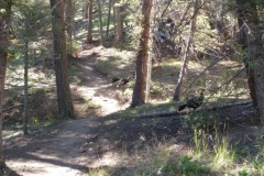 Red_River_Bluegrass_20187