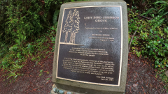 Redwood-National-Park-South-Lady-Bird-Grove-Insta360-Ace-Pro-01-17-2024-VID_20240117_123417_024_000002_01