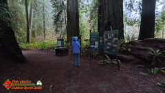 Redwoods-Natl-Park-Grove-of-the-Titans-Insta360-Ace-Pro-01-16-2024_000109_01