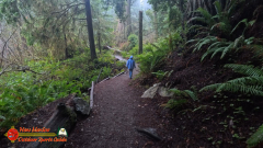 Redwoods-Natl-Park-Grove-of-the-Titans-Insta360-Ace-Pro-01-16-2024_000313_01