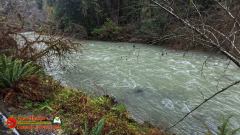 Redwoods-Natl-Park-Grove-of-the-Titans-Insta360-Ace-Pro-01-16-2024_000623_11