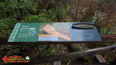 Redwoods-Natl-Park-Grove-of-the-Titans-Insta360-Ace-Pro-01-16-2024_000630_12