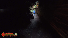 Redwoods-Natl-Park-Grove-of-the-Titans-Insta360-Ace-Pro-01-16-2024_000955_01