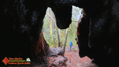 Redwoods-Natl-Park-Ladybird-Insta360-Ace-Pro-01-17-2024_000731_01