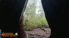 Redwoods-Natl-Park-Ladybird-Insta360-Ace-Pro-01-17-2024_000820_02