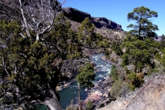 Cebolla-Mesa