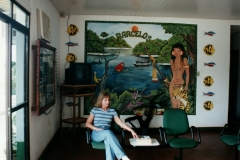 Rio_Negro_Barcelos_Brazil_Airport_Paulette