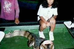 Rio_Negro_Caiman_Guci