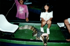 Rio_Negro_Caiman_Guci_1