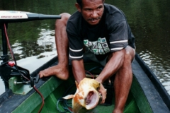 Rio_Negro_Guide_Catfish