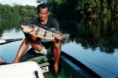 Rio_Negro_Guide_Peacock