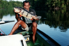 Rio_Negro_Guide_Peacock_3