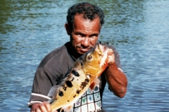 Rio_Negro_Guide_Peacock_4