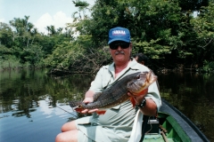 Rio_Negro_Pat_Pacu