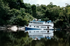 Rio_Negro_Peacock_Nexus