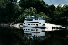 Rio_Negro_Peacock_Nexus_Beach