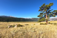 DCIM100GOPROGOPR0374.JPG