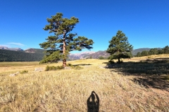 DCIM100GOPROGOPR0375.JPG