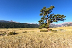 DCIM100GOPROGOPR0376.JPG
