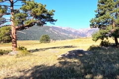DCIM100GOPROGOPR0377.JPG