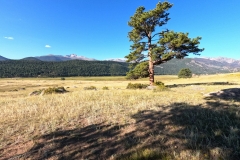 DCIM100GOPROGOPR0379.JPG