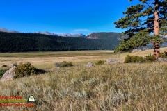 Rocky-Mountain-National-Park-Moraine-Park-Hero9-08-24-2021-mpv-shot0016