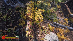 Hiking-Ski-Santa-Fe-09-29-2024_000515_12