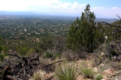 Sun_Mountain_Trail_3