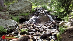 Williams-Lake-Trail-Pocket2-07-20-2022-Waterfall