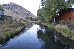 OLYMPUS IMAGING CORP.