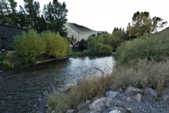 OLYMPUS IMAGING CORP.