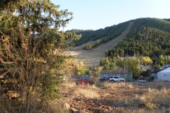 OLYMPUS IMAGING CORP.