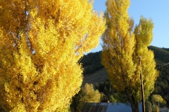 OLYMPUS IMAGING CORP.