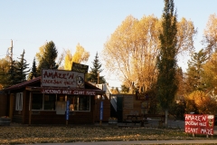 OLYMPUS IMAGING CORP.