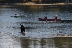 OLYMPUS IMAGING CORP.